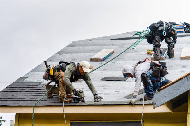 Professional Gutter Installation technician working in Sanbornton, NH